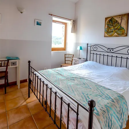 Ideal Famille Et Groupe Mas Dans Les Cevennes Piscine Plages Privees Cadre Exceptionnel Convivialite Calme Vignoble Parking Gratuit Borne Electrique Animaux Acceptes - Wifi *