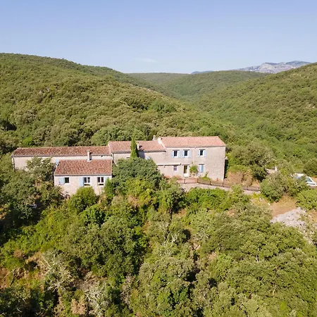 Ideal Famille Et Groupe Mas Dans Les Cevennes Piscine Plages Privees Cadre Exceptionnel Convivialite Calme Vignoble Parking Gratuit Borne Electrique Animaux Acceptes - Wifi