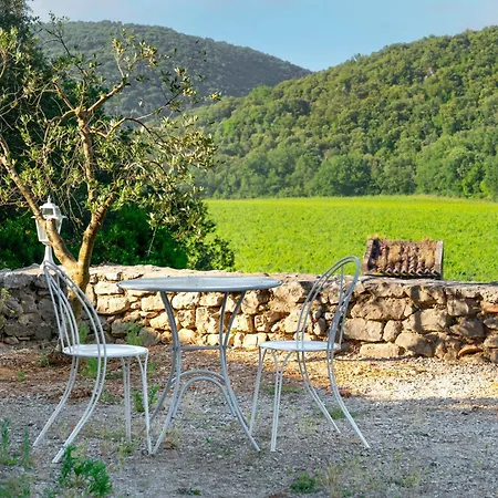 Ideal Famille Et Groupe Mas Dans Les Cevennes Piscine Plages Privees Cadre Exceptionnel Convivialite Calme Vignoble Parking Gratuit Borne Electrique Animaux Acceptes - Wifi Сasa de vacaciones Causse-de-la-Selle